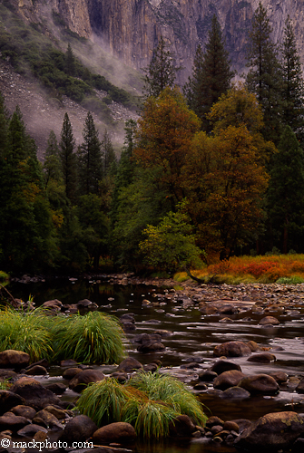 Yosemite National Park