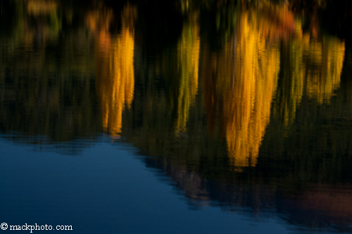 Images from Patagonia