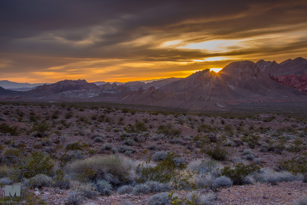 Lake Mead 20150406-0691