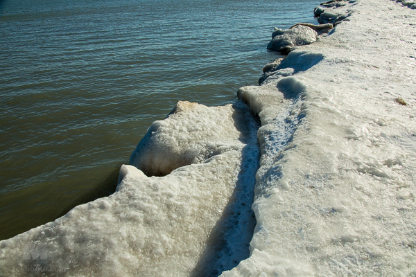 December 28, 2013, Lighthouse Beach