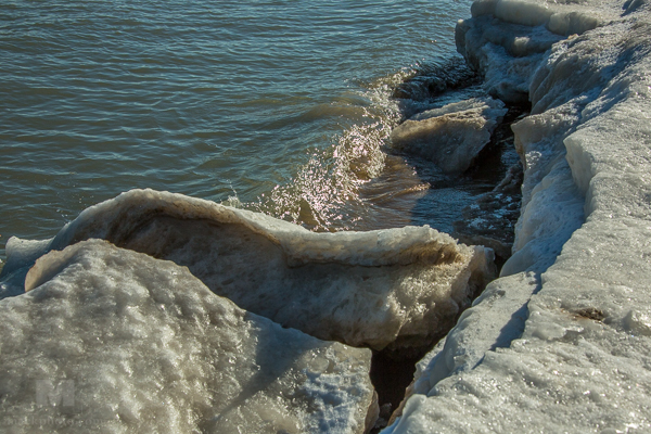 December 28, 2013, Lighthouse Beach