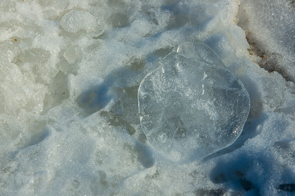 December 28, 2013, Lighthouse Beach