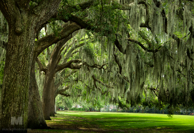 Savannah, Georgia