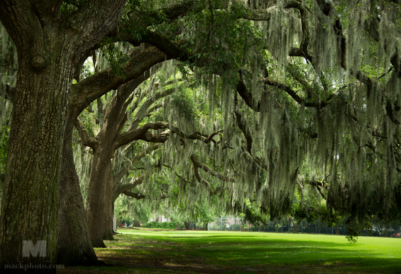 Savannah, Georgia